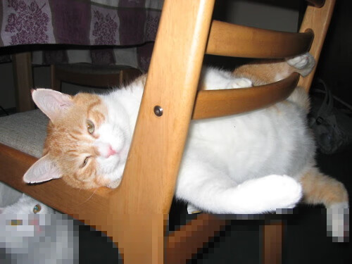 乐鱼体育-世界青少年马拉松劲爆开跑，燃烧希望，追逐梦想，2021青少年马拉松