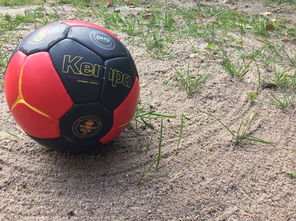 乐鱼体育平台官网-世界青年手球锦标赛中国队勇夺三连胜，世界手球锦标赛几年一次