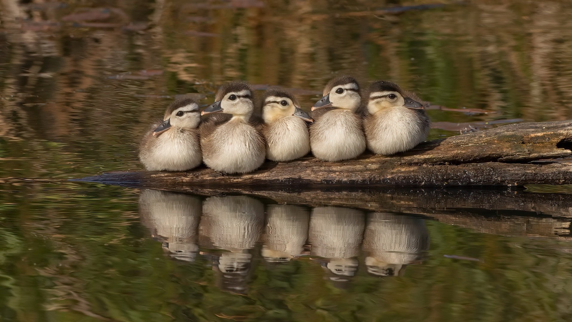 青少年体育活动参与度提升,青少年儿童参与体育锻炼存在哪些问题