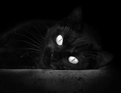 下载乐鱼体育APP-中国足球品牌国际影响力分析，中国足球品牌国际影响力分析论文