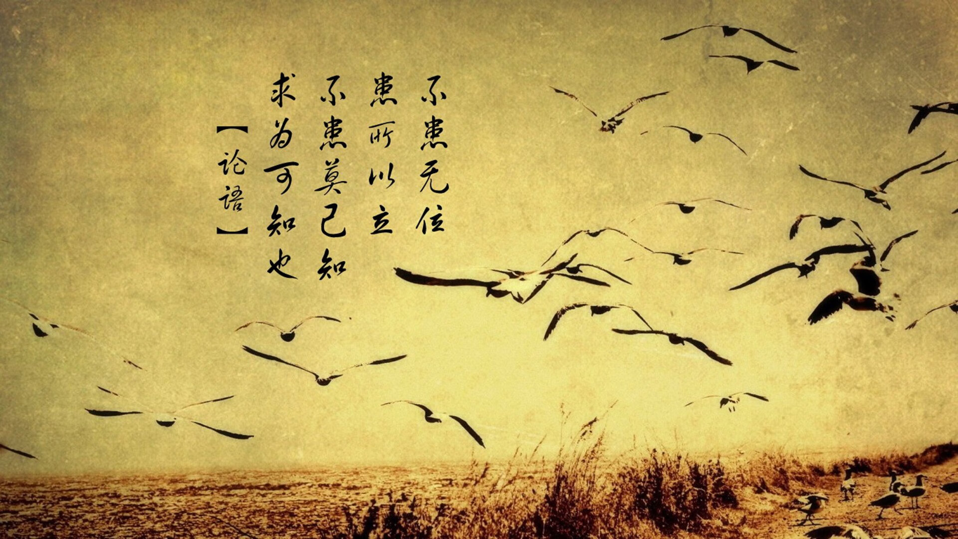 leyu乐鱼体育综合-莱德基表现获国际媒体盛赞，莱德基表现获国际媒体盛赞的作品