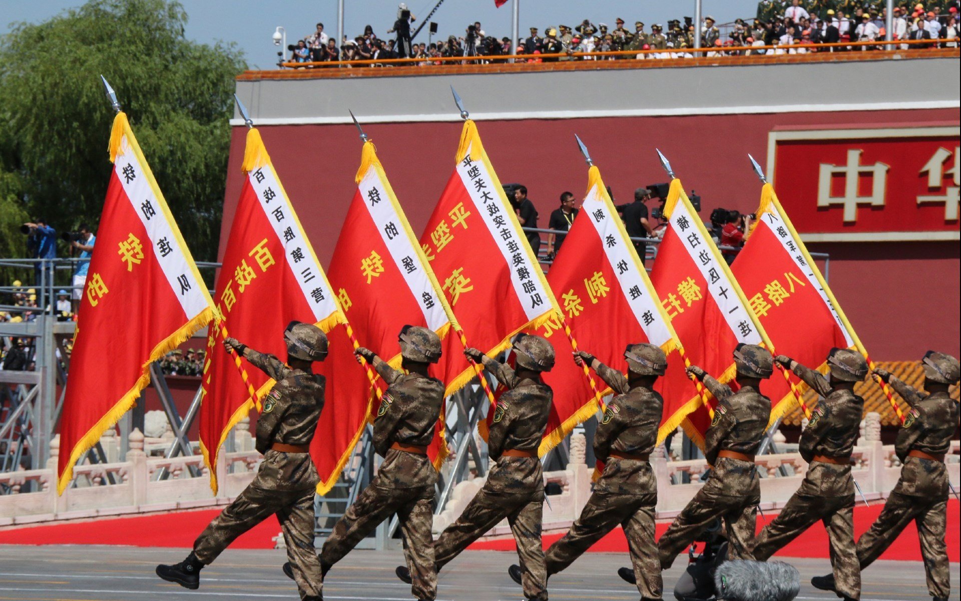 青年运动员转型路径多样化探索，青年运动员标准