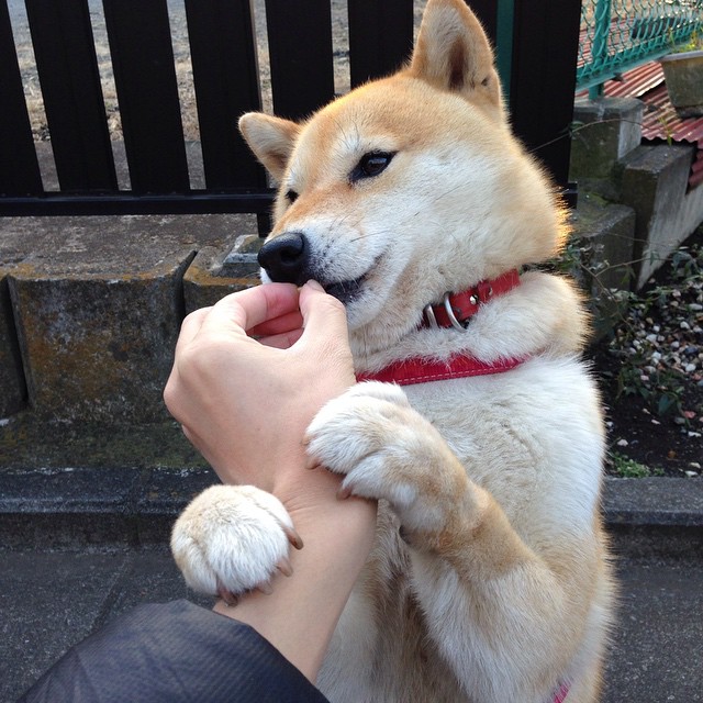 体育公益项目覆盖面扩大，体育公益项目名称