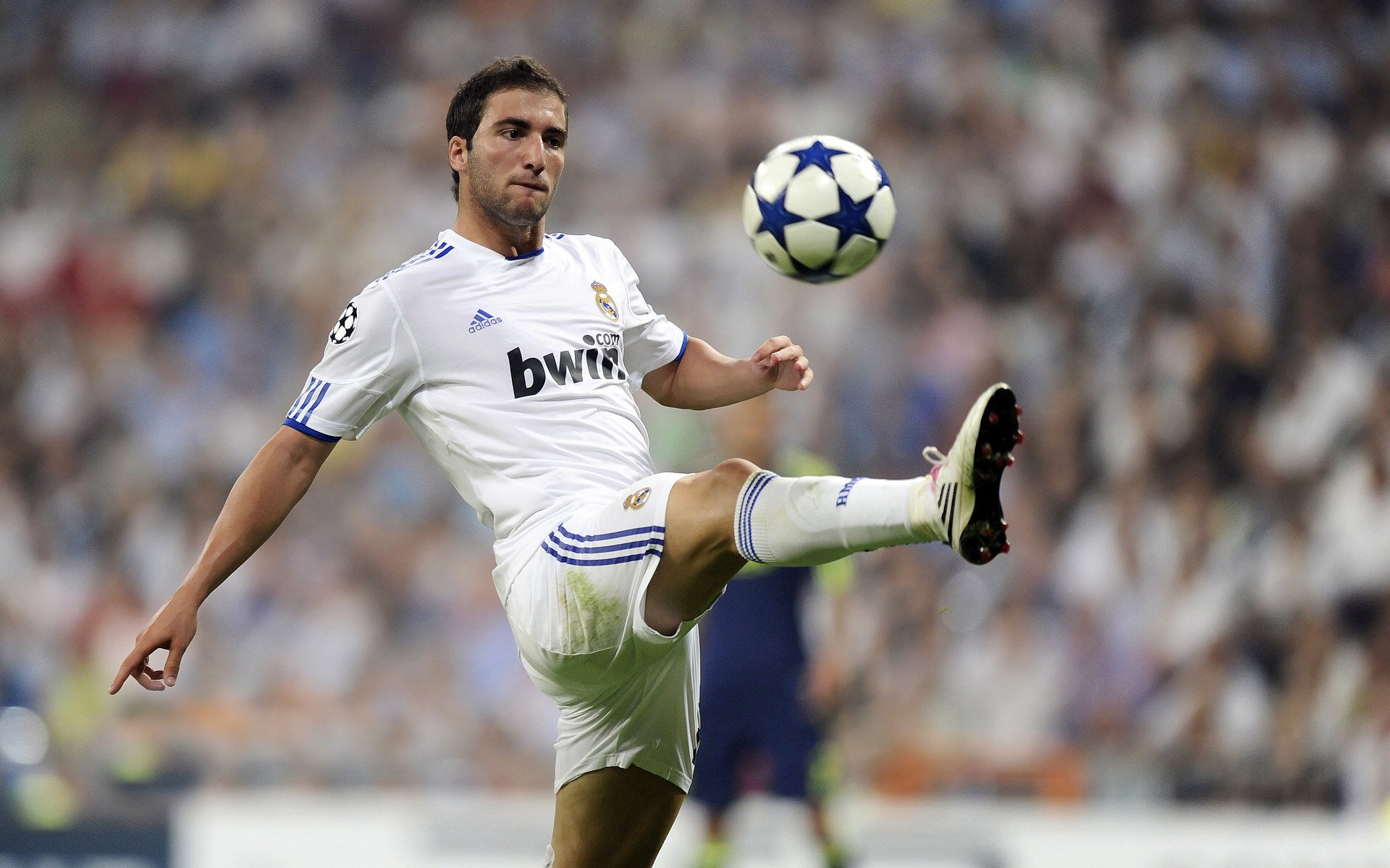 Leyu Sports (乐鱼体育)-国际足球教练培训班吸引多国学员报名，国际足球教育学院